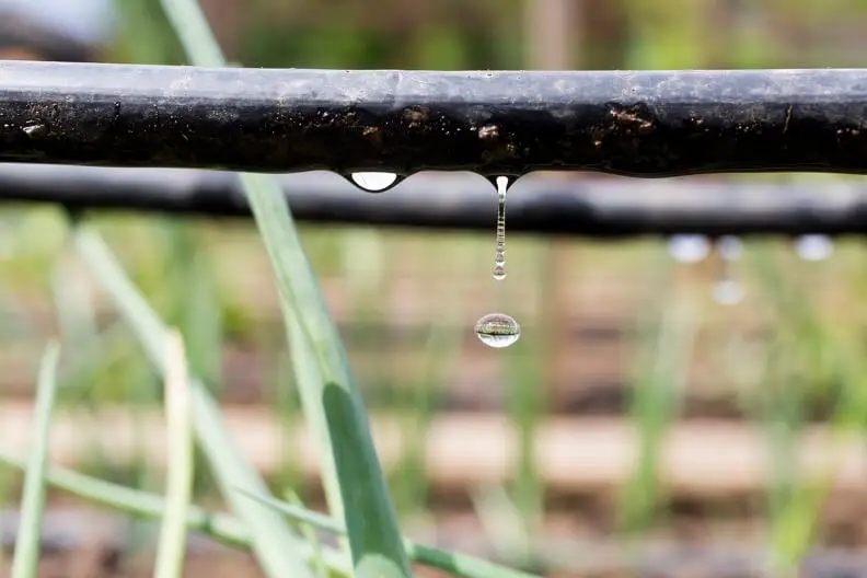 How Does Irrigation Work in Bremerton, WA