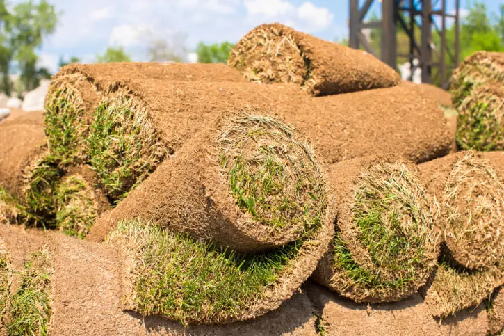 How To Install Sod Bremerton, WA
