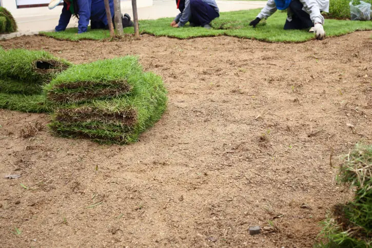 How To Install Sod in Bremerton, WA