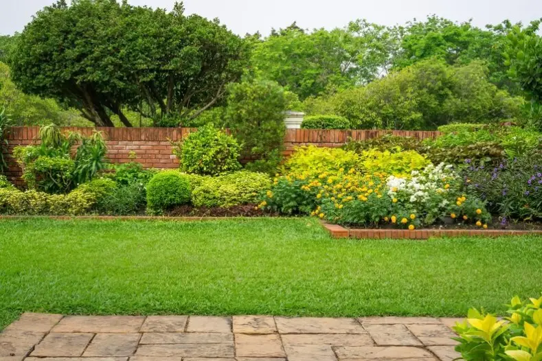 How to Maintain Lawn Bremerton, WA