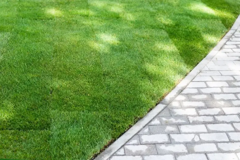 How to Take Care of Lawn Bremerton, WA