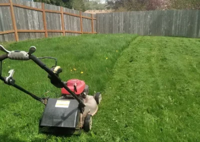 Landscaping Company