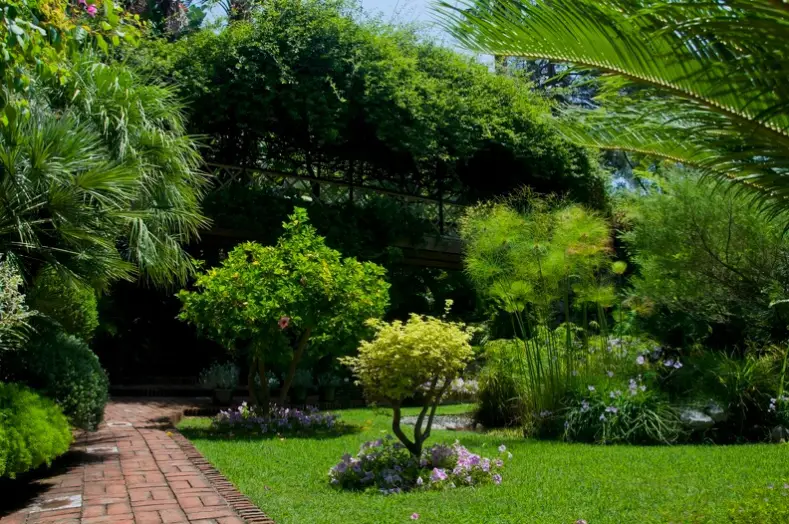 Lawn Maintenance in Bremerton, WA