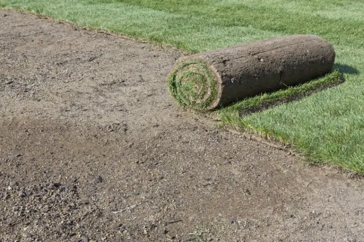 Sod Installation in Bremerton, WA - Landscaping Services