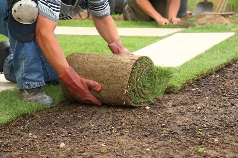 Sod Installation in Bremerton, WA