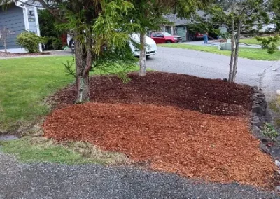 Dependable Landscaping Company in Bremerton, WA