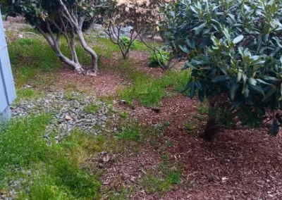 Experienced Landscaping Services in Bremerton, WA