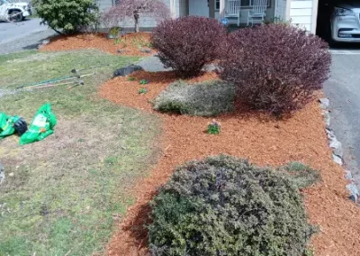 Landscaping Services Contractor