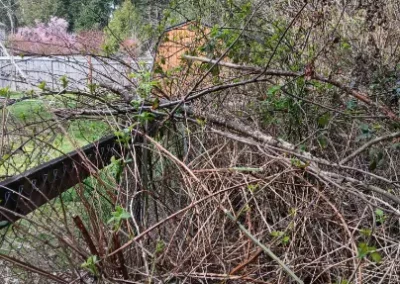 Local Landscaper in Bremerton, WA