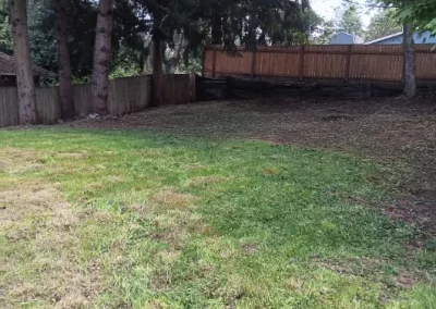 Lawn Maintenance and Landscaping Company in Bremerton WA