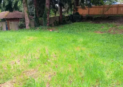 Lawn Maintenance and Landscaping Services in Bremerton WA