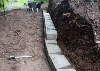 Professional Landscaping
