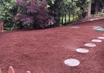 Professional Local Landscaper